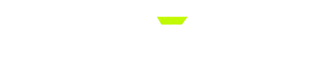 TRAIZZLY